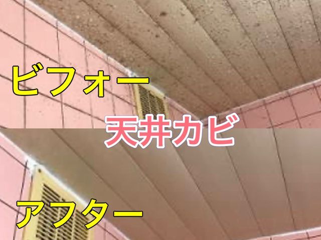 【大阪〜兵庫】お風呂のお掃除頑張ります！！コインP無料♬非喫煙者です^ - ^