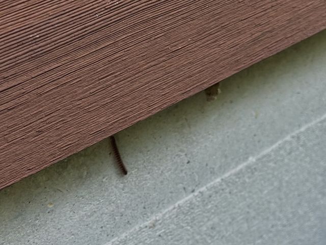 24H/最短当日施工可能！関東対応！侵入口徹底閉鎖&必ず完全駆除！業務用薬剤込み