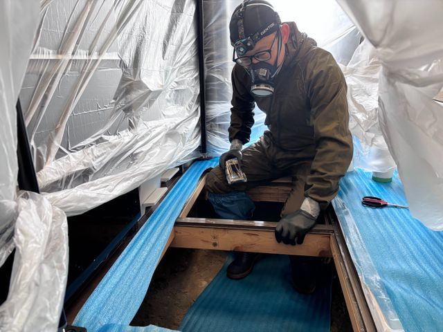 羽アリ出た！今すぐ相談OK★子ども・ペット安心の薬剤★シロアリ駆除