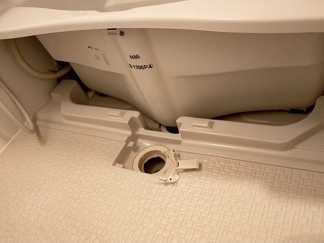 ★2月 キャンペーン中★19000➝17000にて対応します