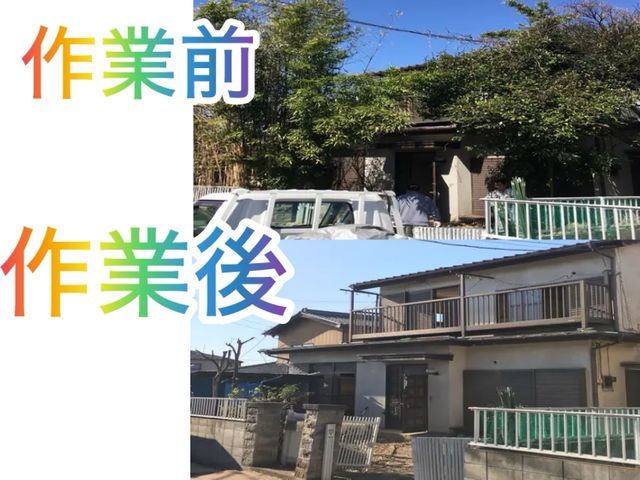 【無料見積りOK】庭木の伐採・抜根｜安全・丁寧作業