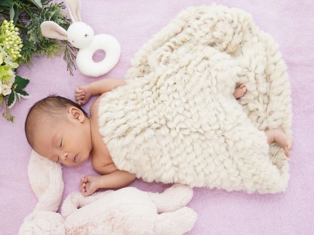 【4/2~25限定 関東対応】旅好きカメラマンによる自然な写真をお届け！即日納品