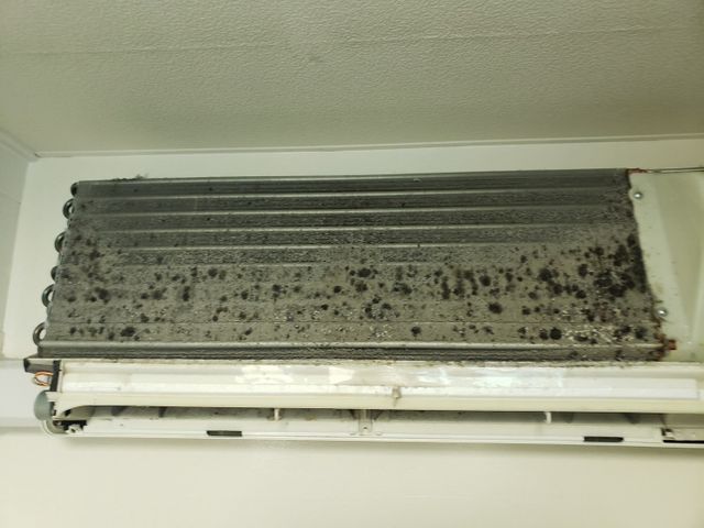 7年の実績と500台以上の信頼！丁寧な養生が自慢のプロ集団