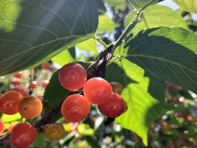 ◆◇12月新規出店◇◆お客様の期待に気持ちで応える！コミュニケーション◎