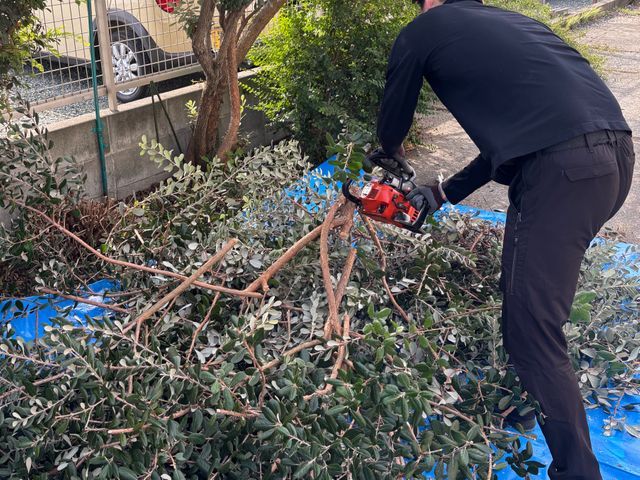 庭木の伐採・抜根おまかせください！◎お見積もり・ご相談無料◎