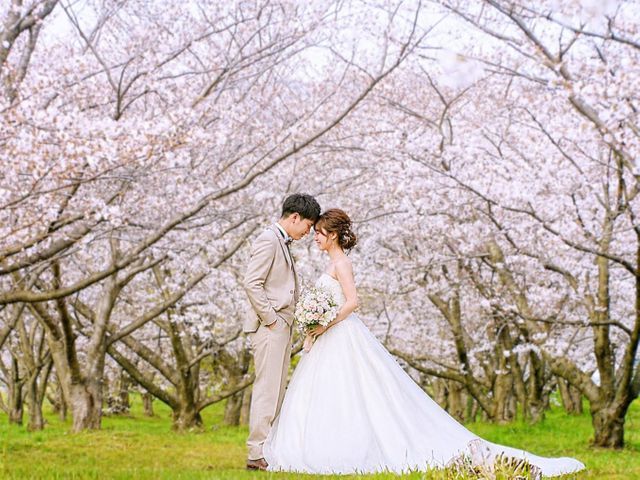 愛媛県密着、人生のお祝いを素敵にメモリーします！プロの技術で納得の仕上がりに！