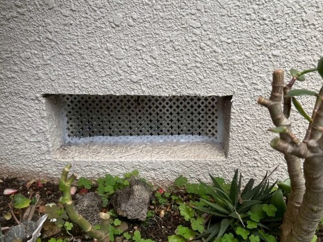 ネズミ駆除｜侵入口封鎖で再発防止まで対応。まずは無料の調査をお申し込みください！