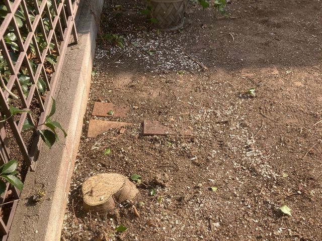 【女性スタッフも可】よく怖いと言われますが笑顔で明るくお伺いします！