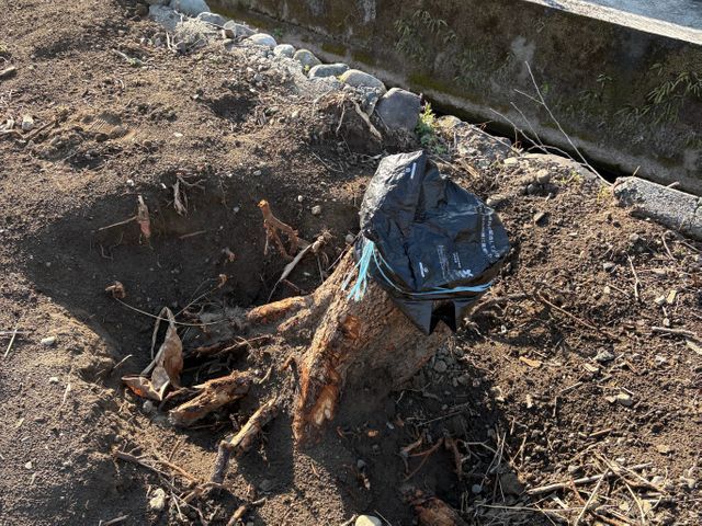 造園のプロフェッショナルが丁寧に仕上げる！リピート率◎確かな実績と信頼のサービス