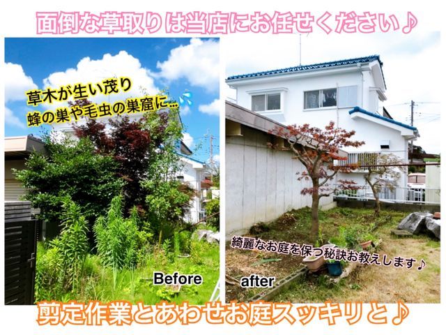 野田市発【8/18より受付】PayPay・楽天Payなど使用可♪　元椿山荘の庭師