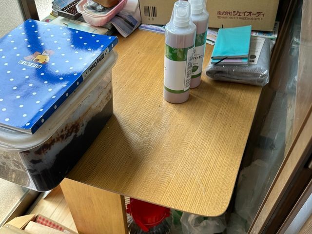 【女性スタッフ同行可能】丁寧な接客に好評いただいてます◎サービスの画像