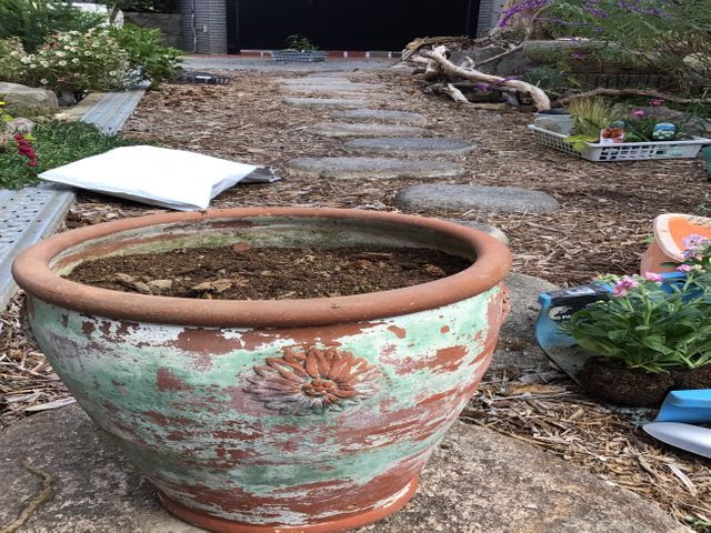 ○草抜き◯草刈り◯お庭の整理◯もう生えなくすることもできます。仕事は早いですよ。