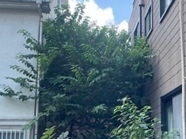 26年の経験でお庭のパートナーとして、1本からでも気軽にご相談ください