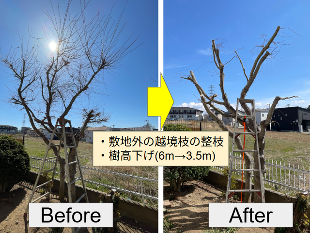 事前の現地確認で明瞭なお見積を！ご要望に寄り添い丁寧に仕上げる庭木剪定！