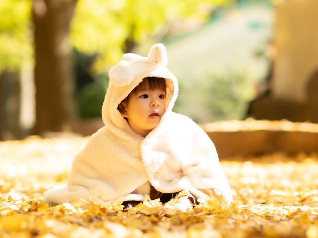 圧巻のクオリティで後悔させません！出店記念でダイジェストムービーを無料プレゼント