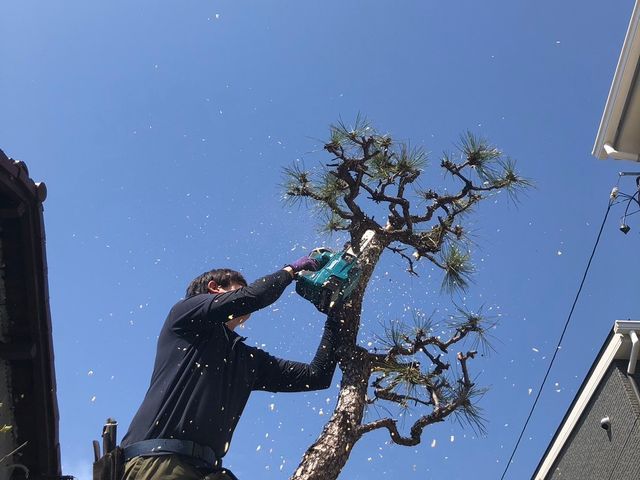 安全第一！迅速・丁寧な作業で、お庭の悩みを解決します！
