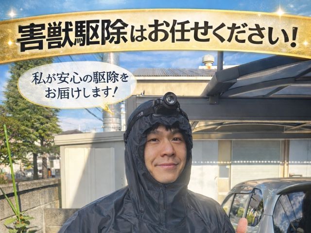 ネズミ駆除プロ｜家全体の侵入口特定と再発防止施工