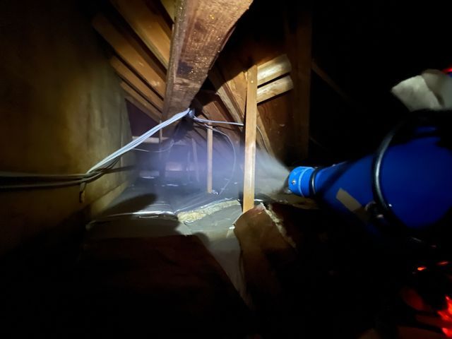 ネズミ駆除プロ｜家全体の侵入口特定と再発防止施工