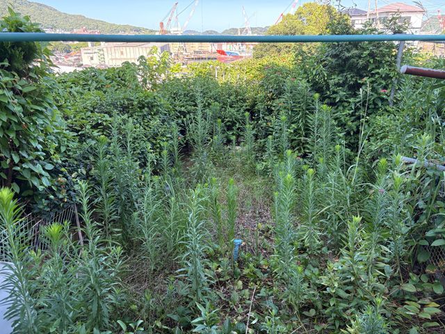 プロの技術でご満足いただけるように心を込めて作業いたします