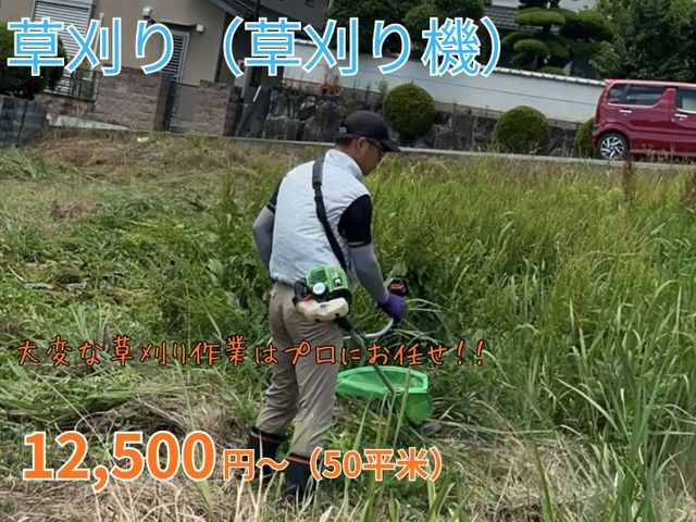 【地域密着店】空き家、空地、畑など草刈り作業致します。50平米＝15坪