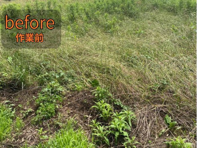 【地域密着店】空き家、空地、畑など草刈り作業致します。50平米＝15坪
