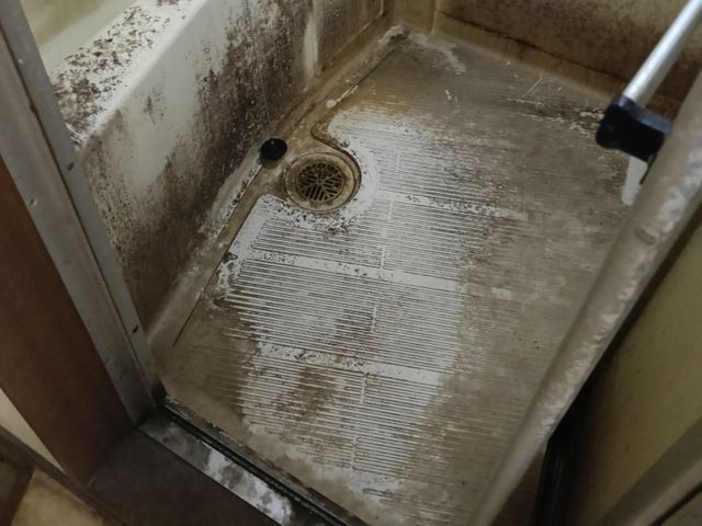 浴室クリーニング