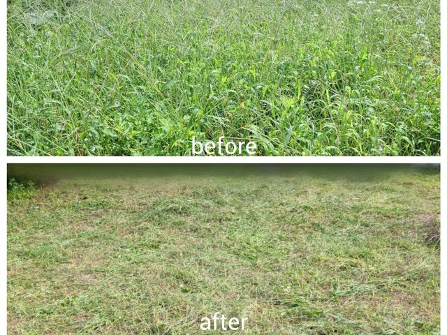 【資格保有】家の周りに生えきった草木をばっさい処分でキレイに致します！！