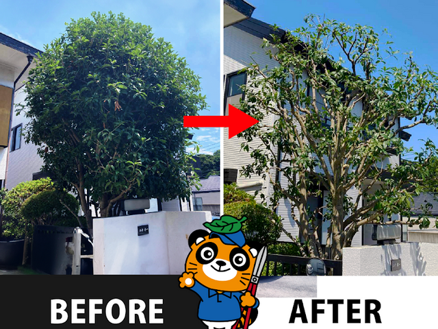 業歴10年・樹木医在籍！思い出の植木を美しく蘇らせます◎お庭のことなら庭クイック