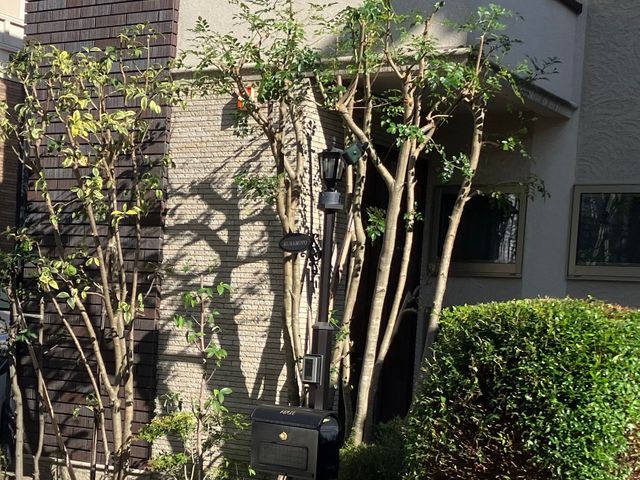 写真見積可能！費用は簡易清掃・ゴミ回収処分代全て込みの税込総額！お見積も無料です