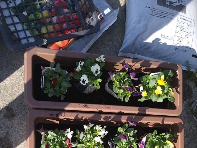 【花屋さんが担当】花苗、鉢植え、放置されていた花壇なども美しく生まれかわります。