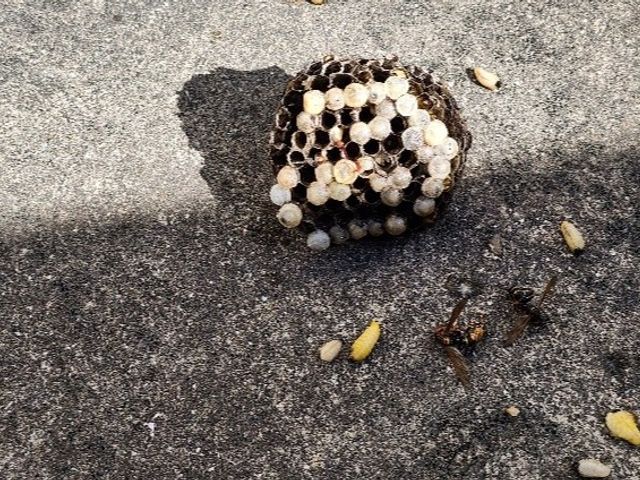 【即日相談可能】◉30年間クレームゼロの法人店舗◉3000件以上の実績有り！