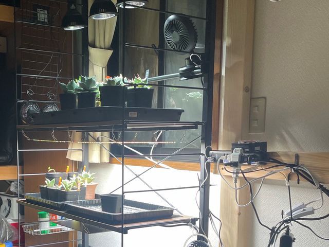 スピード返信★２４H対応★