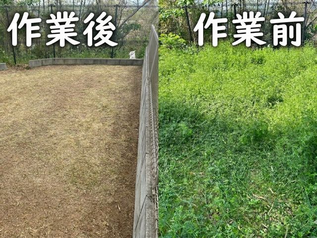 【リピーター続出】妥協なしの超丁寧作業！草むしり・剪定・お庭の整理はここで完結！