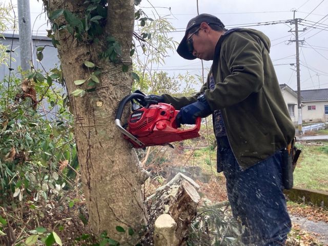 【見積り・相談無料】　◆不要になった木々の伐採・伐根いたします。