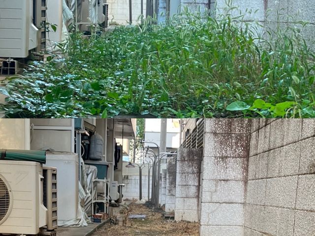 草むしりいたします！