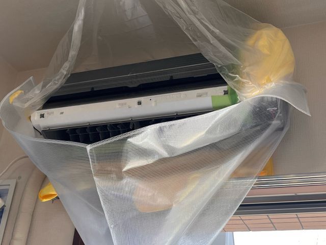 【秋のキャンペーン】2台目割引！！お子様・ペットにも優しいエコ洗剤使用《川口発》