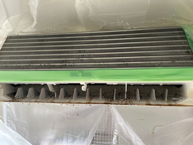 10年の介護経験を活かした、心に寄り添う丁寧なクリーニング