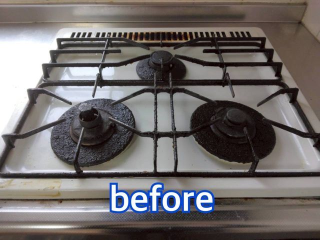 【この機会に害虫対策無料!!】害虫駆除と清掃のプロが手掛けるハウスクリーニング