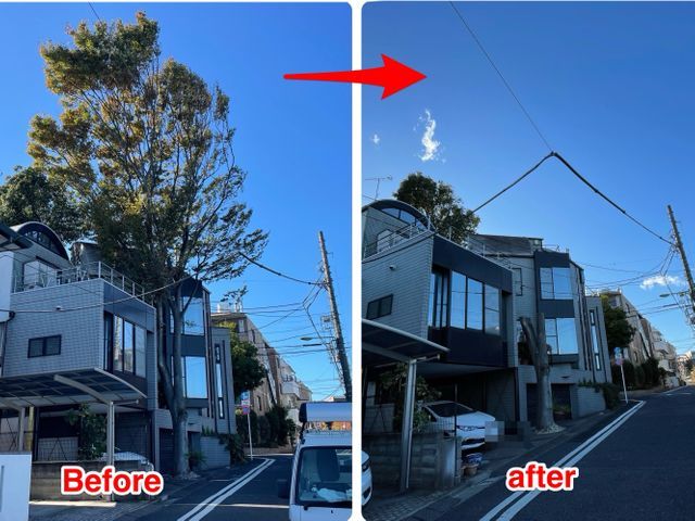 ☆明るいお庭へ大変身！笑顔にさせてみせます^^　難所・高所作業は得意分野です☆