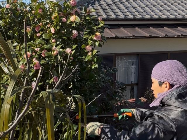 ★剪定承ります★重機の入れない場所，高所もご相談可能！