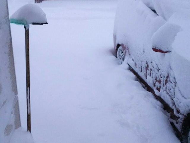 除雪作業やりますサービスの画像