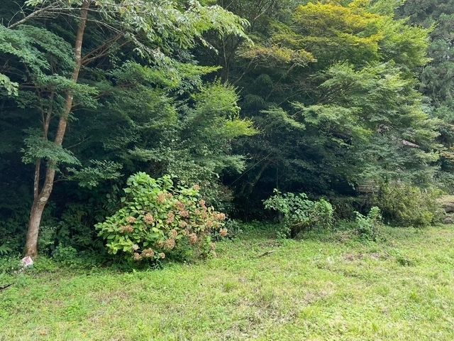 3月新出店◎庭・畑・空き地◎丁寧・迅速【徳島、香川】