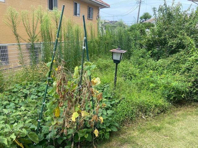 不用品回収！お庭の草むしり！ルームクリーニング！