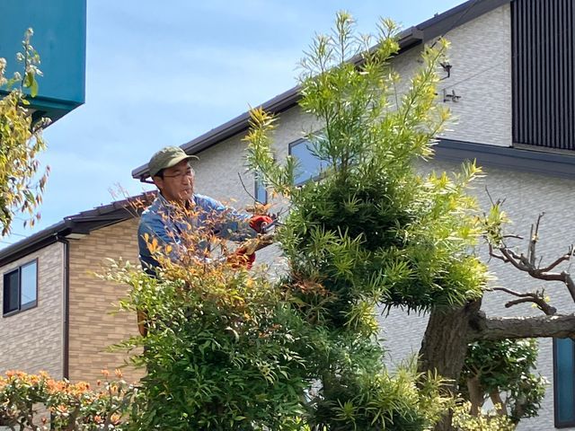 一人では剪定できない伸びすぎた木や枝など、お任せください。