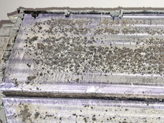 エコ洗剤、オゾン水すすぎ、消臭抗菌剤無料。さらに室外機無料点検込み