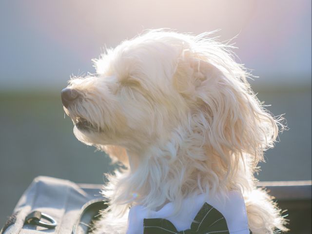 大切な家族とのお時間を、ロケーション撮影で永遠に残すお手伝いをさせて頂いてます♪