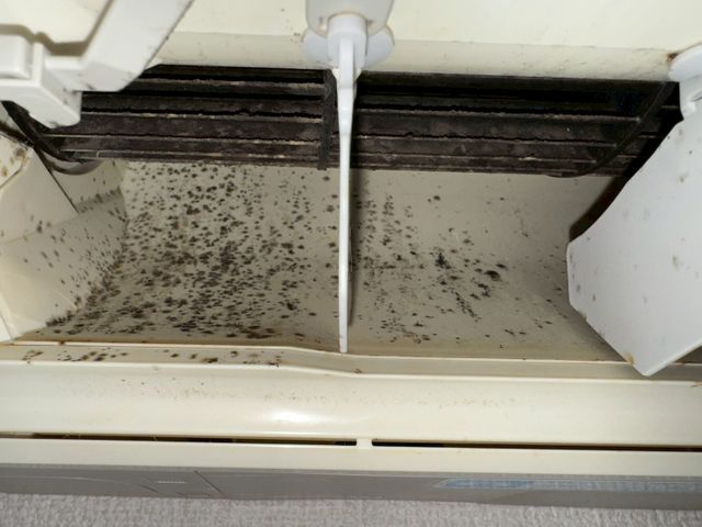 笑顔と丁寧さで選ばれ続ける安心の壁掛けエアコンお掃除サービス