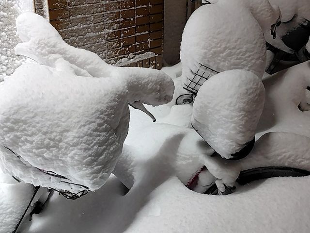 玄関から道路までのアプローチ除雪サービス玄関前や駐車場所の満足除雪サービス