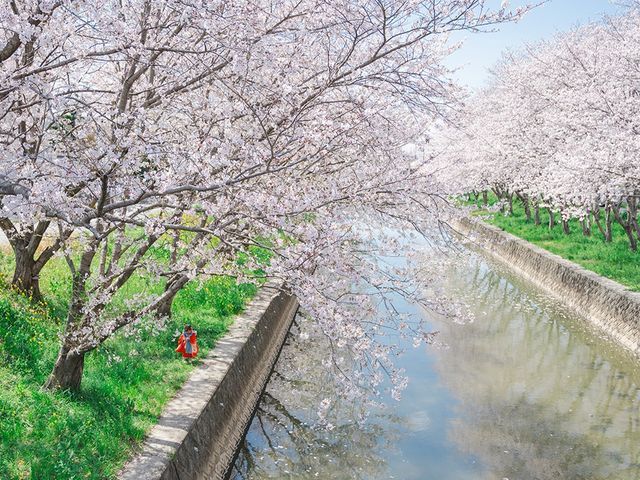 【福岡 | 女性フォトグラファー】出張撮影／七五三撮影