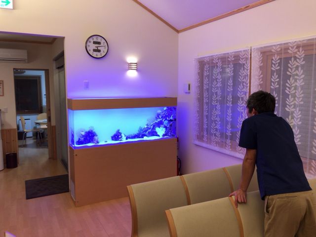 プロにお任せ！20年の実績で5,000本以上！水槽が蘇る癒しの空間づくり